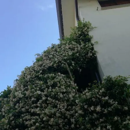 Casa de Férias Cicogna *